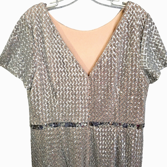Nwot Adrianna Pappel Shortsleeve Silver Sequin Luxe Mesh/Tan Column Form… - Picture 13 of 17
